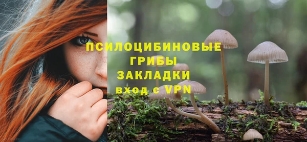 a pvp Баксан